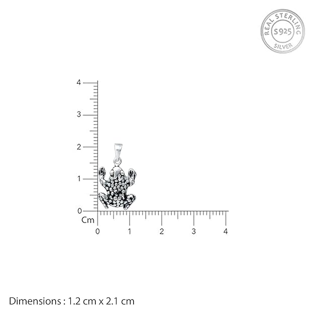 Silver Frog Design Pendant with Earrings Set for Women